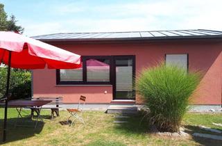 Haus kaufen in Seepferdchenweg 21, 17509 Loissin, Massives Ostsee Haus mit Grundstück in Loissin nur 50m bis zum Strand Provisionsfrei