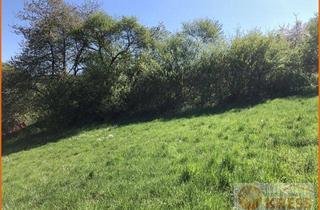 Grundstück zu kaufen in 36381 Schlüchtern, Reserviert!!!! Erschlossener Bauplatz am Sonnenhang mit traumhafter Fernsicht Schlüchtern-Ahlersbach