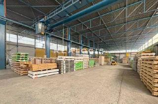Büro zu mieten in 82110 Germering, Industriehalle inkl. Büro mit ca. 4.900 m² zu vermieten - exklusiv über REALOGIS