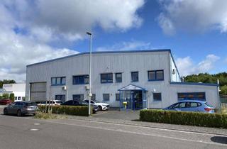 Gewerbeimmobilie kaufen in 56281 Dörth, Investition in der Region: Gewerbe-/Industriehalle in Dörth