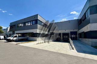 Büro zu mieten in 65795 Hattersheim am Main, RAMPE + EBEN ✓ Moderne Lagerflächen (2.400 m²) & Büroflächen (400 m²) zu vermieten