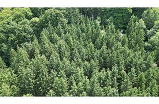 Grundstück zu kaufen in 83093 Bad Endorf, Gut erreichbare Waldfläche mit gemischten Bestand sowie Jungpflanzung