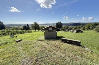 Grundstück zu kaufen in 75443 Ötisheim, Wiese in Ötisheim - Sauberg