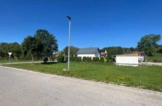 Grundstück zu kaufen in 86946 Vilgertshofen, GÜNSTIG GESCHNITTENES BAUGRUNDSTÜCK - direkt am ORTSRAND!MUNDRACHING - GEM.VILGERTSHOFEN
