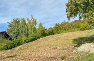 Grundstück zu kaufen in 69242 Mühlhausen, Ein Neubau für Wohnen mit Aussicht?