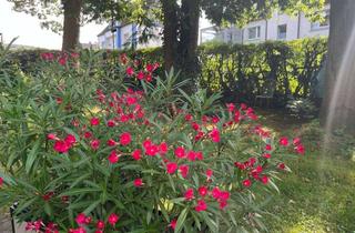 Grundstück zu kaufen in Hohle Str. 19a, 58091 Eilpe, Baugrundstück in Hagen Eilpe ! Erfühlen Sie sich Ihr Traum von Eigenheim!! Town & Country Haus