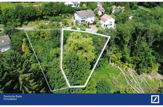 Grundstück zu kaufen in Unterdorfweg 5 - 501, 69253 Heiligkreuzsteinach, Eins von Zwei: Ca.1200 qm Baugrundstück im Grünen in Hilsenhain