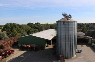 Anlageobjekt in 38539 Müden, Landwirtschaftlicher Produktionsbetrieb // Gewerbegrundstück / Wohnbaugrundstück +++