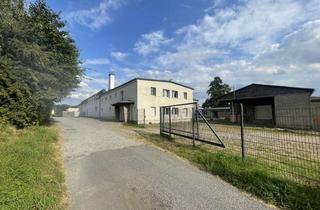 Büro zu mieten in Mittelbacher Straße 21, 01896 Lichtenberg, Gebäudekomplex - Büro, Lagerhalle & Produktion