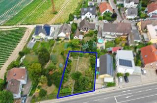 Grundstück zu kaufen in 67117 Limburgerhof, Baugrundstück zu verkaufen - schnell sein lohnt sich!