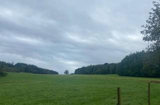 Grundstück zu kaufen in 51709 Marienheide, Grünland, Weideland, Wiese