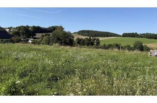 Grundstück zu kaufen in 09430 Drebach, Ganz nah der Natur