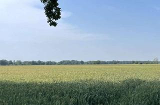 Grundstück zu kaufen in 30826 Garbsen, Traumgrundstück in zentraler Lage in Osterwald U.E.