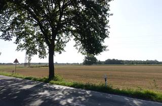 Immobilie kaufen in 27333 Bücken, 3,1036 ha Ackerland bei Bücken