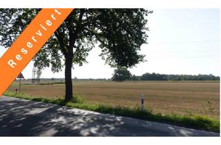 Immobilie kaufen in 27333 Bücken, 3,1036 ha Ackerland bei Bücken