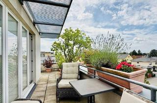 Penthouse kaufen in 13127 Berlin, Berlin - Terrassentraum - manchmal reicht der Blick bis zum Fernsehturm