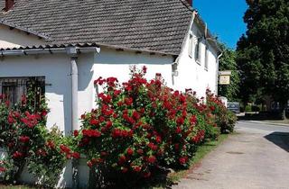 Haus kaufen in 19273 Neuhaus, Amt Neuhaus - Haus 1a Lage (noch) provisionsfrei