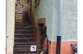 Einfamilienhaus kaufen in 67466 Lambrecht, Lambrecht (Pfalz) - Frisch saniertes Einfamilienhaus mit Garten in Elmstein