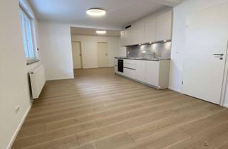 Wohnung mieten in 76767 Hagenbach, Neuwertige EG-Wohnung nach Komplettsanierung !
