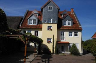 Wohnung mieten in Breite Straße 13a, 61118 Bad Vilbel, Geschmackvolle, modernisierte 1-Zimmer-Dachgeschosswohnung mit geh. Innenausstattung in Bad Viblel