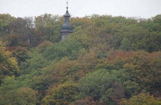 Wohnung mieten in Königsteiner Straße 33, 65719 Hofheim am Taunus, Top gepflegte 3 Zimmer Wohnung mit herrlichem Blick auf die Kapelle in absoluter Spitzenwohnlage