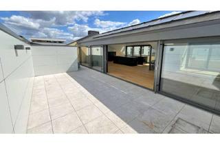 Lofts mieten in 96047 Insel, Exklusive, großzügigeLoftwohnung mit DachterrasseBamberg Erbainsel, ruhige Lage