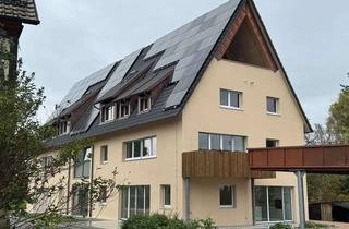 Wohnung mieten in Dorfstr. 18/2, 74538 Rosengarten, Erdgeschosswohnung mit Terrase und EBK in Rosengarten, Erstbezug