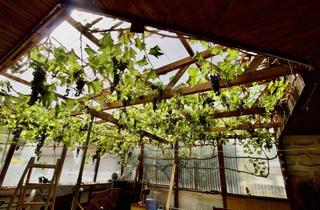 Haus kaufen in Lemberger Straße 105a, 66957 Ruppertsweiler, Alleskönner aufgepasst: Haus in Ruppertsweiler mit Potenzial