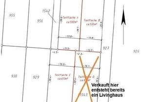 Grundstück zu kaufen in Hildegardstraße 13, 15806 Zossen, Ankommen. Wohlfühlen. Zuhause sein - Dein Livinghaus auf Traumgrundstück in Zossen