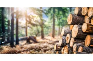 Gewerbeimmobilie kaufen in 82441 Ohlstadt, Gut erreichbar, ordentlicher Bestand - Bergwald Nähe Eschenlohe