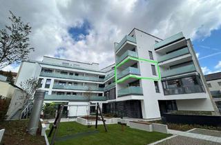 Wohnung mieten in Deichhof 21, 32423 Minden, Rollstuhlgerechte, moderne 2-Zimmerwohnung im Stiftungshaus Deichhof