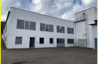 Gewerbeimmobilie mieten in 85072 Eichstätt, Vielseitige Gewerbefläche im Industriegebiet