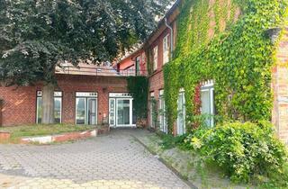 Gewerbeimmobilie mieten in Elbstraße 12, 21481 Lauenburg, Repräsentativer Firmensitz mit Elbblick 236qm