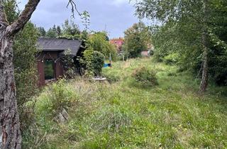 Haus kaufen in 27299 Langwedel, Langwedel - Großzügiges Grundstück Baugrundstück Haus Zweifamilienhaus