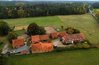 Bauernhaus kaufen in 29553 Bienenbüttel, Bienenbüttel - Bauernhaus mit Offenstall, Nebengebäuden und Weide, Resthof