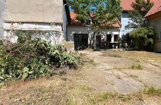 Bauernhaus kaufen in 67585 Dorn-Dürkheim, Dorn-Dürkheim - Kleines Bauernhaus mit größerer Scheune und Garten in Rheinhessen