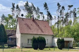Haus kaufen in 06901 Kemberg, Kemberg - Haus mit großem Grundstück am Waldrand