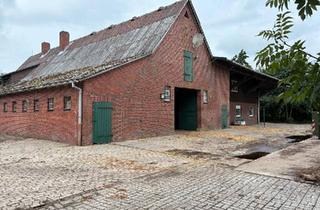 Haus kaufen in 21775 Ihlienworth, Ihlienworth - Resthof, ideal zur Pferdehaltung