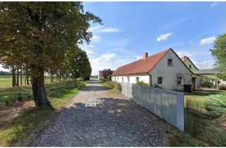 Einfamilienhaus kaufen in 06917 Jessen, Jessen (Elster) - Einfamilienhaus mit schönem Grundstück, Nebengebäude, Garage