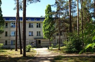 Wohnung mieten in Kranichweg, 06917 Jessen, ++ Große 2-Raumwohnung für Singles oder Paare++