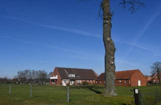Bauernhaus kaufen in 49406 Barnstorf, Barnstorf / Dreeke - Solider, gepflegte Resthof mit Nebengebäude und Halle ideal für Pferdehaltung