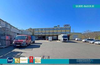 Gewerbeimmobilie kaufen in 56859 Alf, Logistikhalle mit PV-Anlage (435,5 kWP) und Mietsteigerungspotential in zentraler Lage an der Mosel