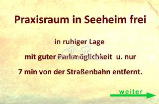 Praxen mieten in 64342 Seeheim, Praxisraum in Seeheim frei