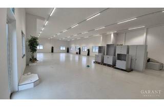Immobilie kaufen in 33829 Borgholzhausen, Moderne Architektur trifft flexible Nutzung. Gewerbeimmobilie mit Wohnoption.