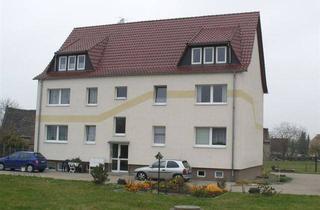 Wohnung mieten in 04874 Belgern, 2-Raum-Wohnung in ländlicher Lage in Mahitzschen