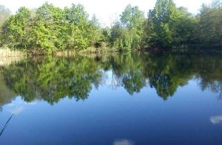 Grundstück zu kaufen in 14822 Brück, Ihr eigenes Fisch-Teichgrundstück mit 12.766 m²