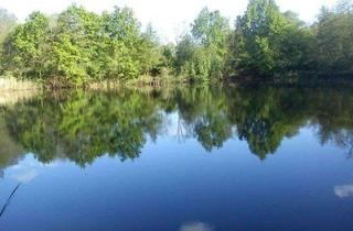 Grundstück zu kaufen in 14822 Brück, Ihr eigenes Fisch-Teichgrundstück mit 12.766 m²