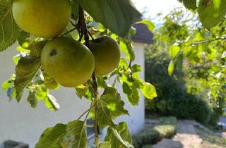 Haus kaufen in 79790 Küssaberg, Küssaberg - Außergewöhnliches Architektenhaus auf großem Grundstück