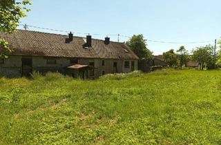 Bauernhaus kaufen in 54531 Manderscheid, Manderscheid - Bauernhaus,Scheune,Wiese,Lage in zweiter Reihe.Modernisiert.