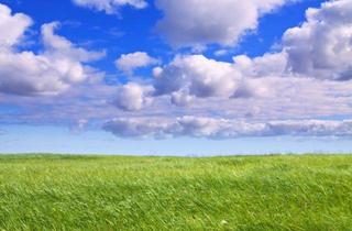 Grundstück zu kaufen in 72793 Pfullingen, Zwei Erholungsflächen in Pfullingen gegen Höchstgebot!